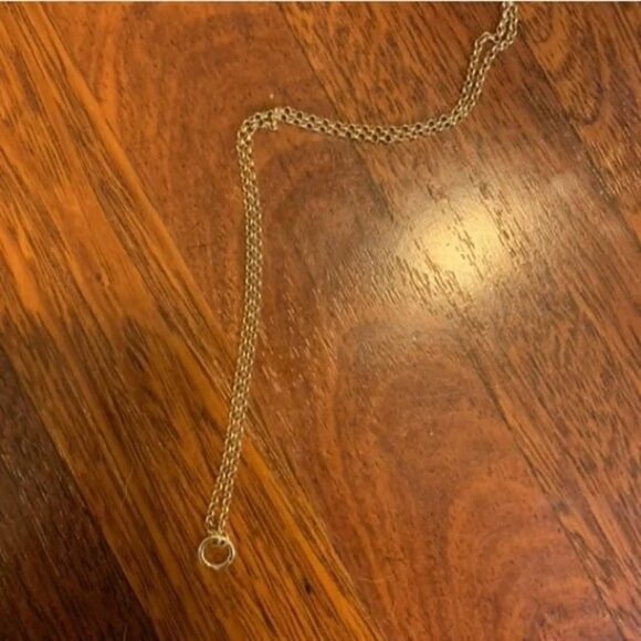 Mejuri 20” Rolo Chain Charm Necklace - Picture 4 of 5
